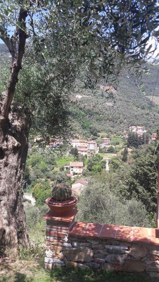 Il Colle Di Abramo Casa Vacanze Enrica ピエトラサンタ エクステリア 写真